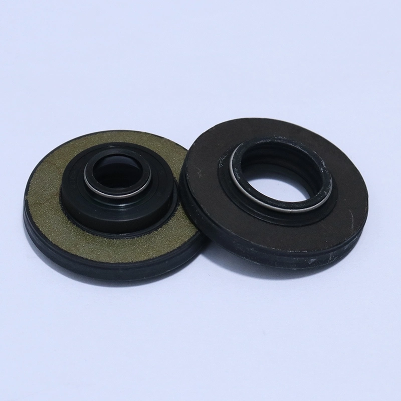 Dual Lip Design Oil Seal